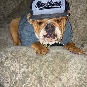 Meet your Posher, Victor